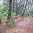 합성동370 이미지