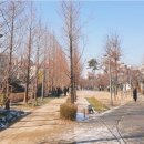 3월 6일(일) 13:00 경의선 숲길(효창공원앞~가좌역) 이미지