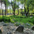 서울숲 곤충식물원(내부) 화장실 | 서울 성수동 서울숲 나들이, 나비정원과 곤충식물원 주차장과 운영시간