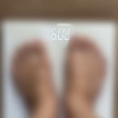 자본주의다이어트 행감환 일주일 후기 (ft. 플러스마이너스한의원)