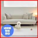 댕댕이 펫카 | 바닥 미끄럼 걱정 끝! 디팡 펫 미끄럼방지 러그 사용 후기