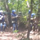 자연체육관 이미지