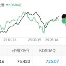 250520 국내 증시마감 “제약바이오, 정치인 테마..”