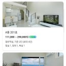 수피아라 A 이미지