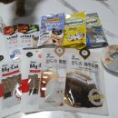 야옹아 멍멍해봐 대흥점 이미지