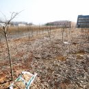 LH새마을금고 이미지