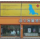금오동물병원 애견미용실 이미지