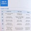 리지안