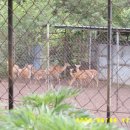 태실농장 이미지