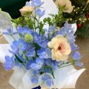 반송동104 | 반송동꽃집 플로모네에 다녀온 후기입니다