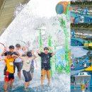 정릉천 제기1교 이미지