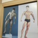 디퍼런스짐 PT 부평점 네이버블로그