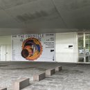 서울대학교미술관 <잃어버린 시간의 연대기>展 후기