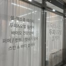닥터시스 셀클럽 이미지