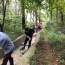 승수정비 이미지