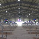 보은종합시장 이미지