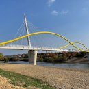 금호강4 이미지