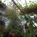 민들레농장 이미지