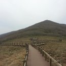곰배령올레 이미지