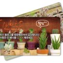크로비스 이미지