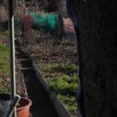 농막목장 이미지