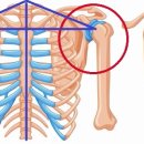 바라다한의원 이미지