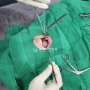 평촌코아 양압기 이미지