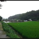 초당낚시터 이미지