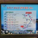 최강장군 가리포해전 대첩비 | 남파랑 길 87코스