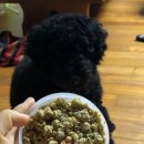 엔픽(N-peak) 이미지