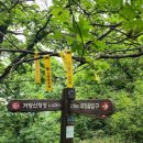 사평마을 | 완등 8회차 도전 - 황석산·거망산 1일 2산 산행 후기(심원정주차장 ~ 황석산 ~ 거망산 ~ 태장골 ~ 용추...