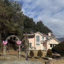 D1 | 홍천 감성 캠핑장 생슐피스 캠핑장 애견동반 2박 후기 | D1 사이트 솔직 리뷰