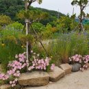 다솔민박 이미지