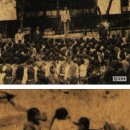 안성초등학교 이미지