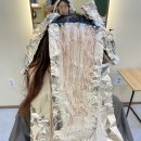 오로라살롱 이미지