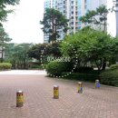 렉슬휘트니스_2 이미지