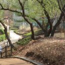 원당산공원 이미지