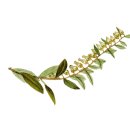 생각숲예술유치원 이미지