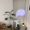 우도기행 | 우도 숙소 추천｜하고수동 해수욕장 근처 감성숙소 "우도기행"