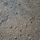 두멍부리 이미지