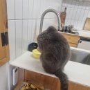 이상도행정사 이미지