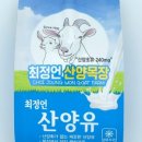 마스코타 펫 이미지