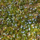 관동농장 이미지