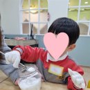 버클리어린이집 | 해운대 버클리 아이비 키즈 문화센터