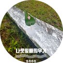 숲이랑아이랑유치원 이미지