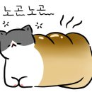 희도민박 이미지