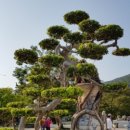 한국폴리텍 VI 대학 영주캠퍼스 이미지