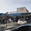 애니카랜드토월점 이미지