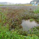 바우길 16구간 이미지