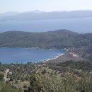 집에서 즐기는 레스토랑 요리 이미지